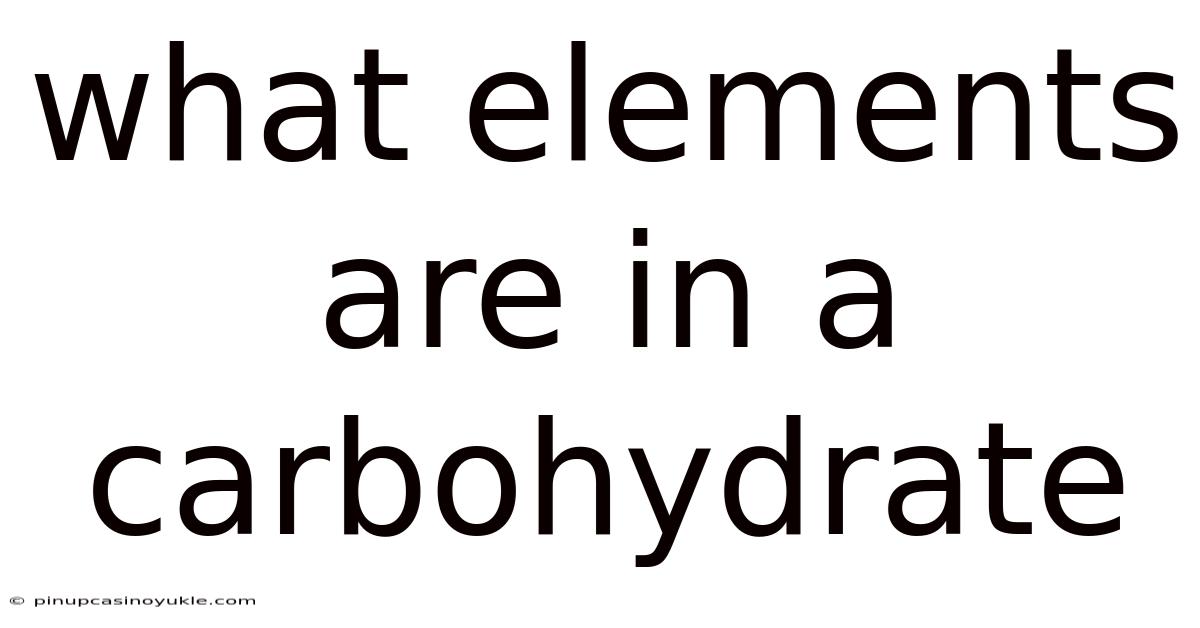 What Elements Are In A Carbohydrate