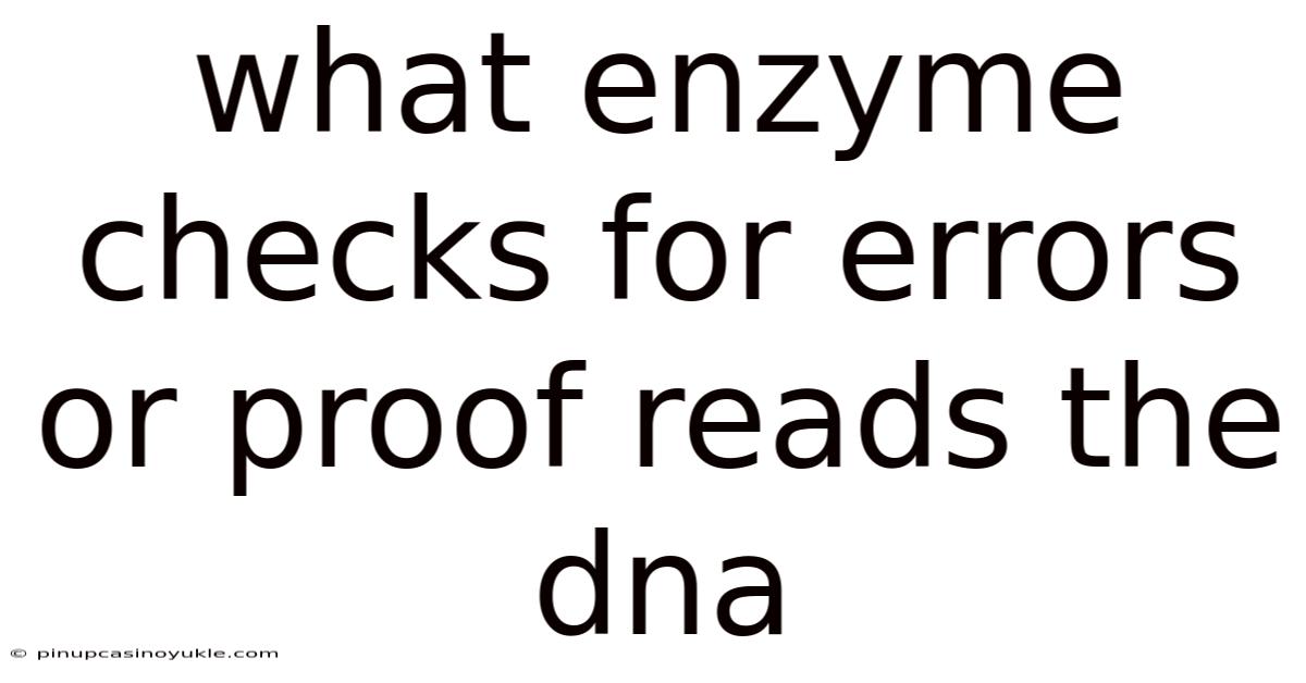 What Enzyme Checks For Errors Or Proof Reads The Dna