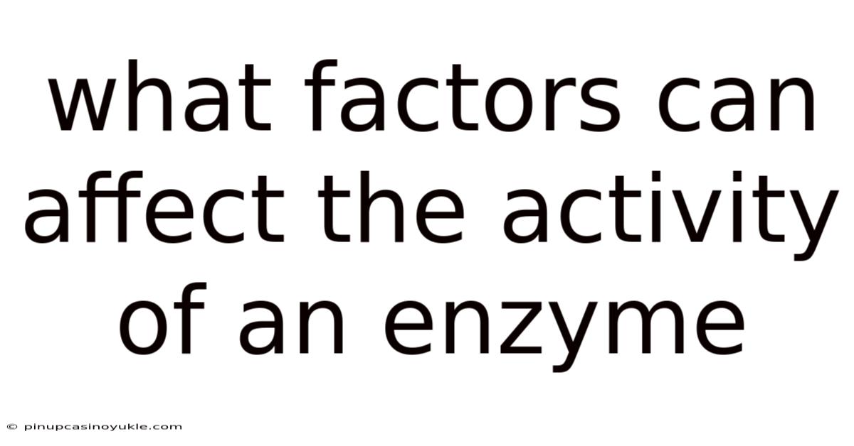What Factors Can Affect The Activity Of An Enzyme