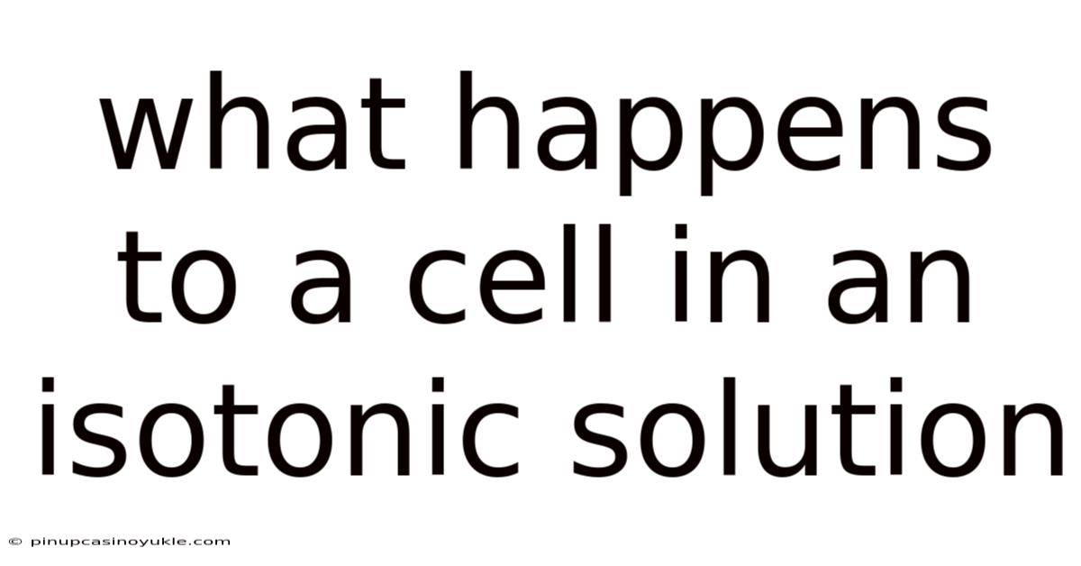 What Happens To A Cell In An Isotonic Solution
