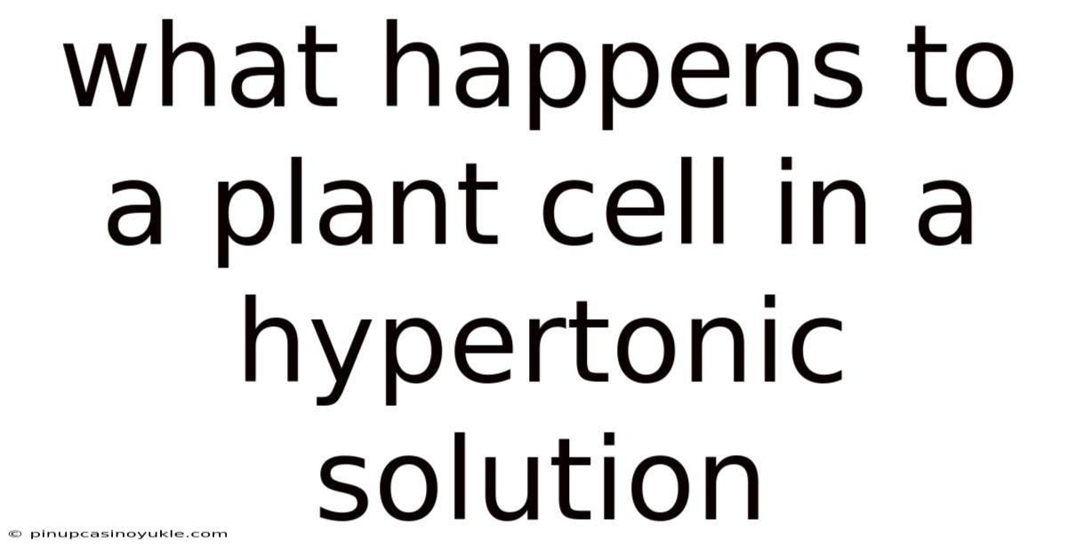 What Happens To A Plant Cell In A Hypertonic Solution