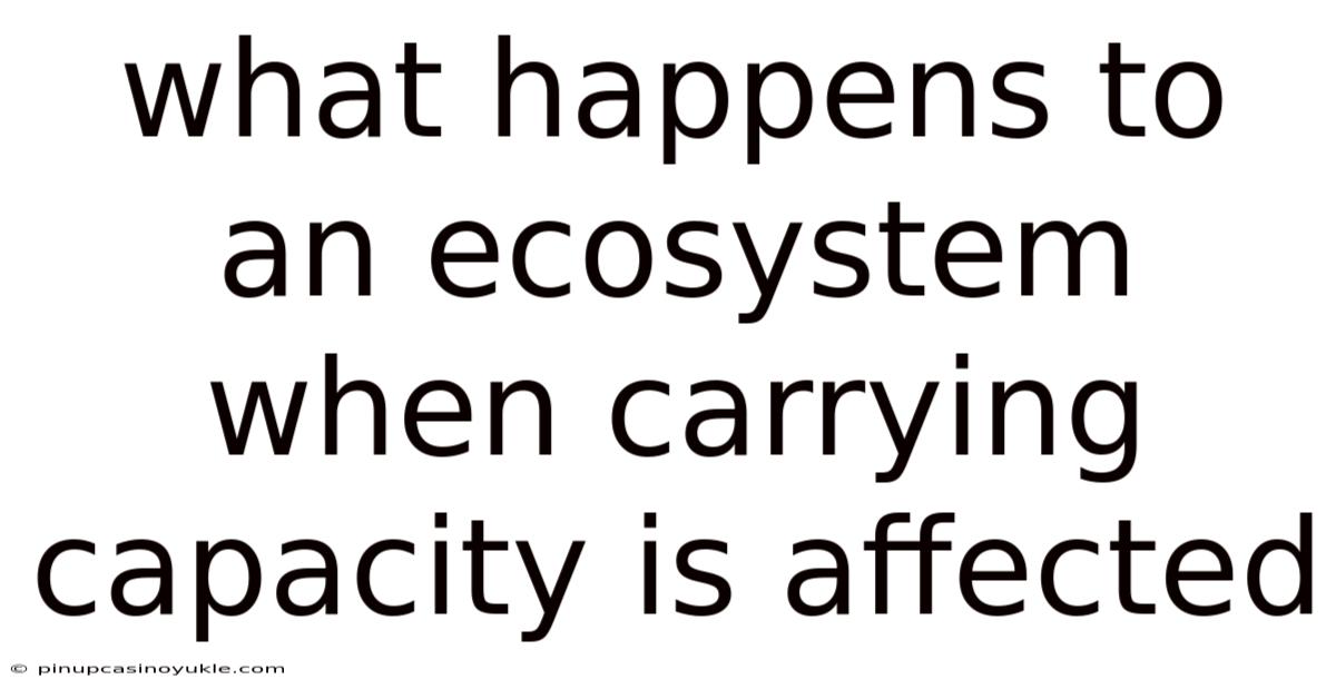 What Happens To An Ecosystem When Carrying Capacity Is Affected