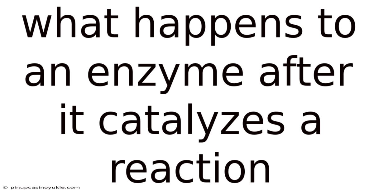 What Happens To An Enzyme After It Catalyzes A Reaction