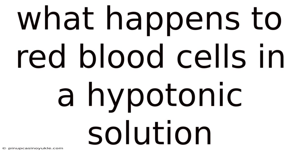 What Happens To Red Blood Cells In A Hypotonic Solution