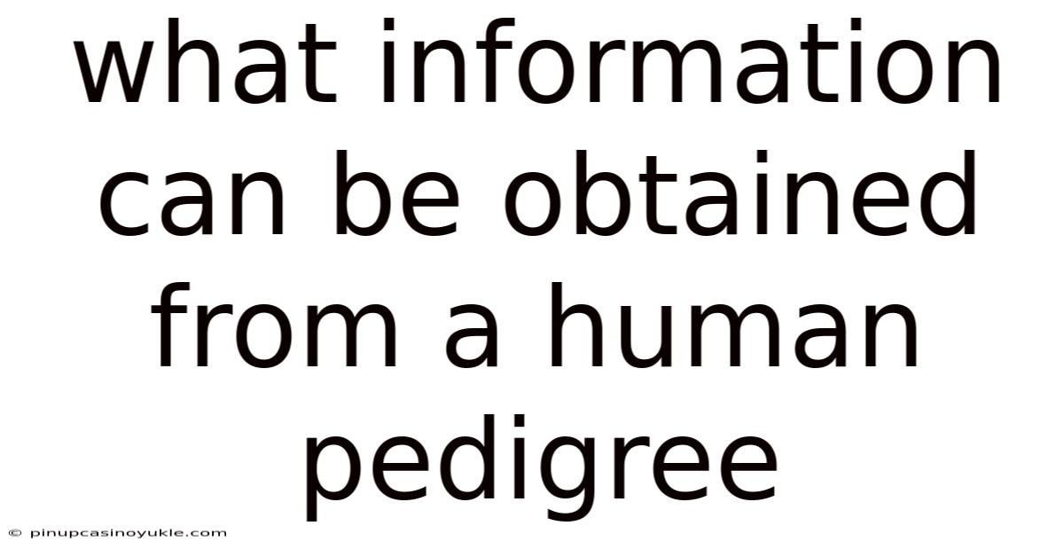 What Information Can Be Obtained From A Human Pedigree