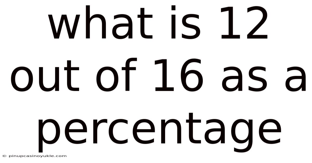 What Is 12 Out Of 16 As A Percentage