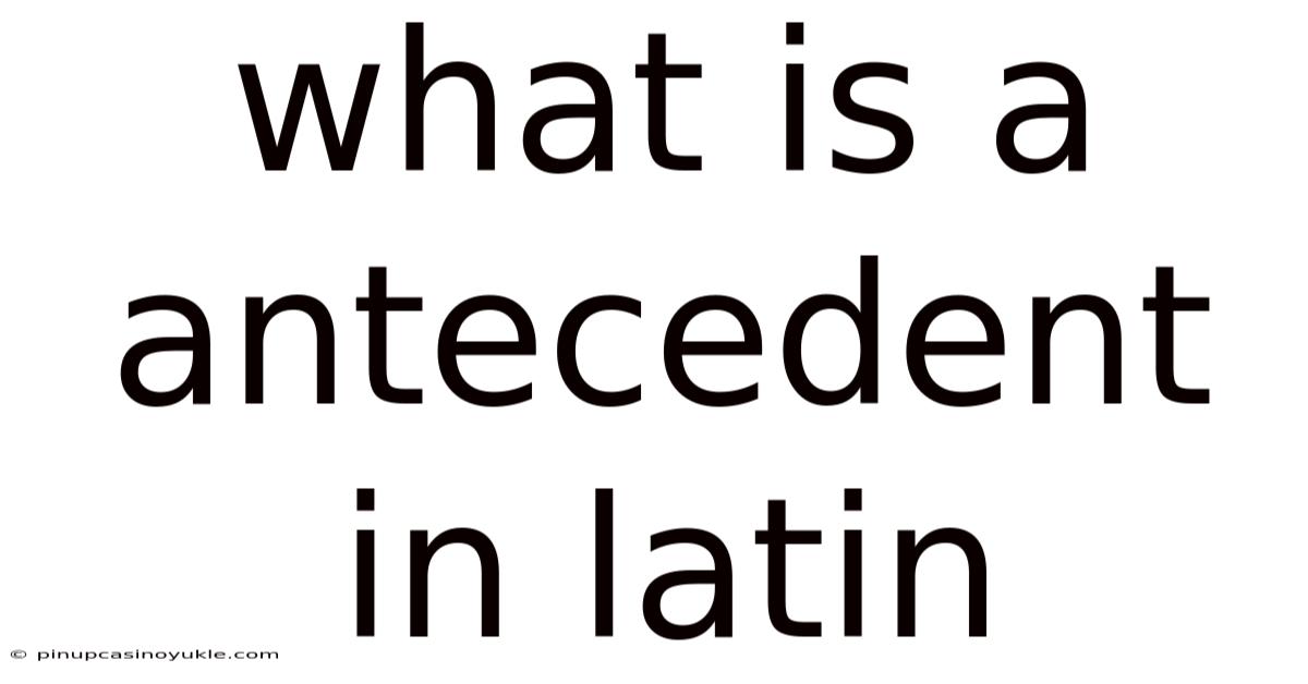 What Is A Antecedent In Latin