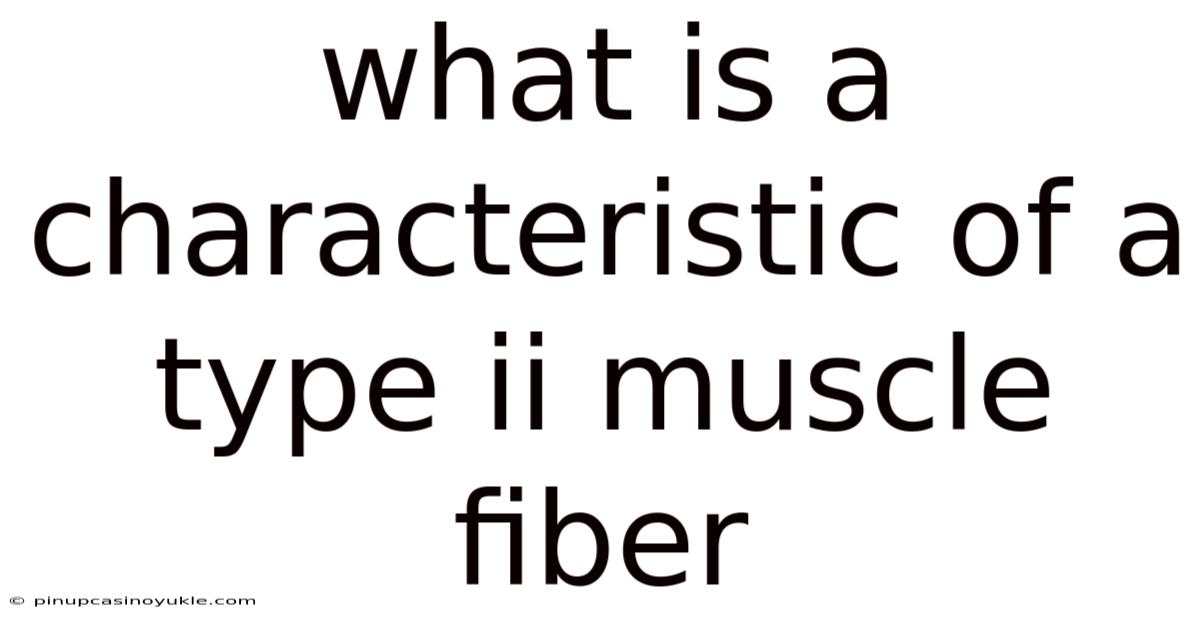 What Is A Characteristic Of A Type Ii Muscle Fiber