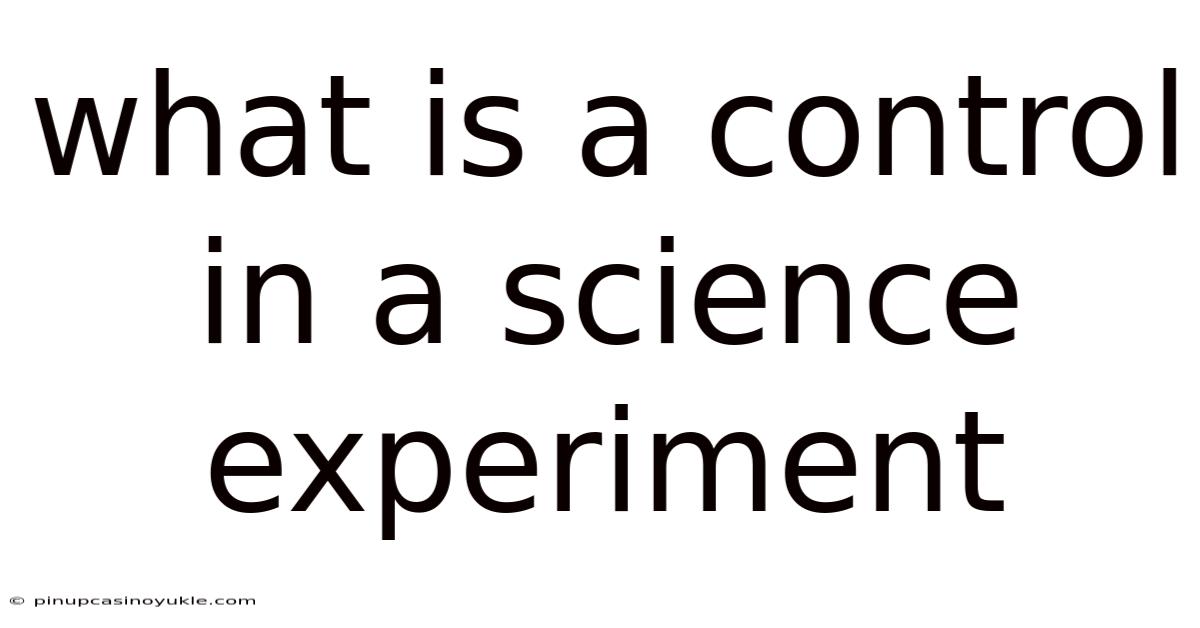 What Is A Control In A Science Experiment