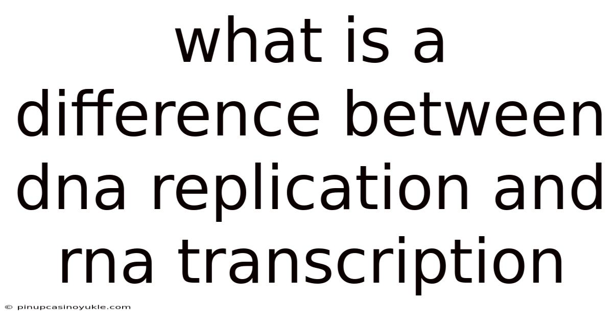 What Is A Difference Between Dna Replication And Rna Transcription