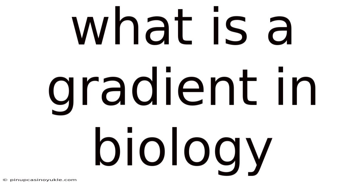 What Is A Gradient In Biology