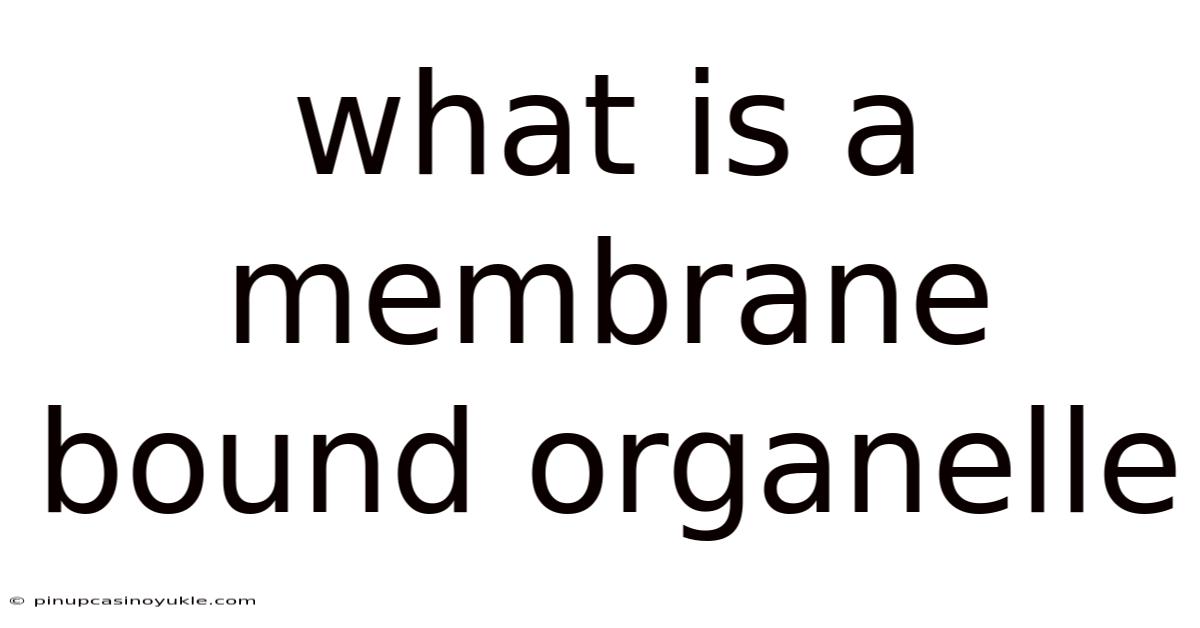 What Is A Membrane Bound Organelle