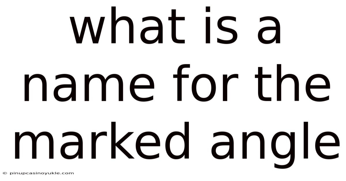 What Is A Name For The Marked Angle