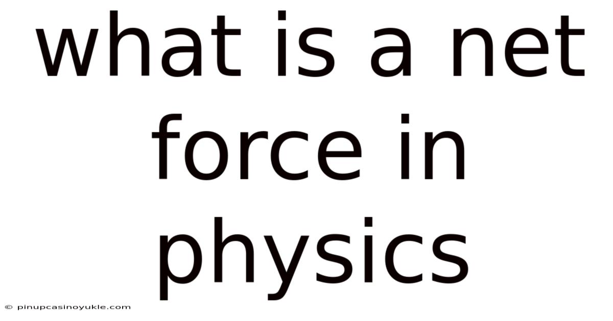 What Is A Net Force In Physics