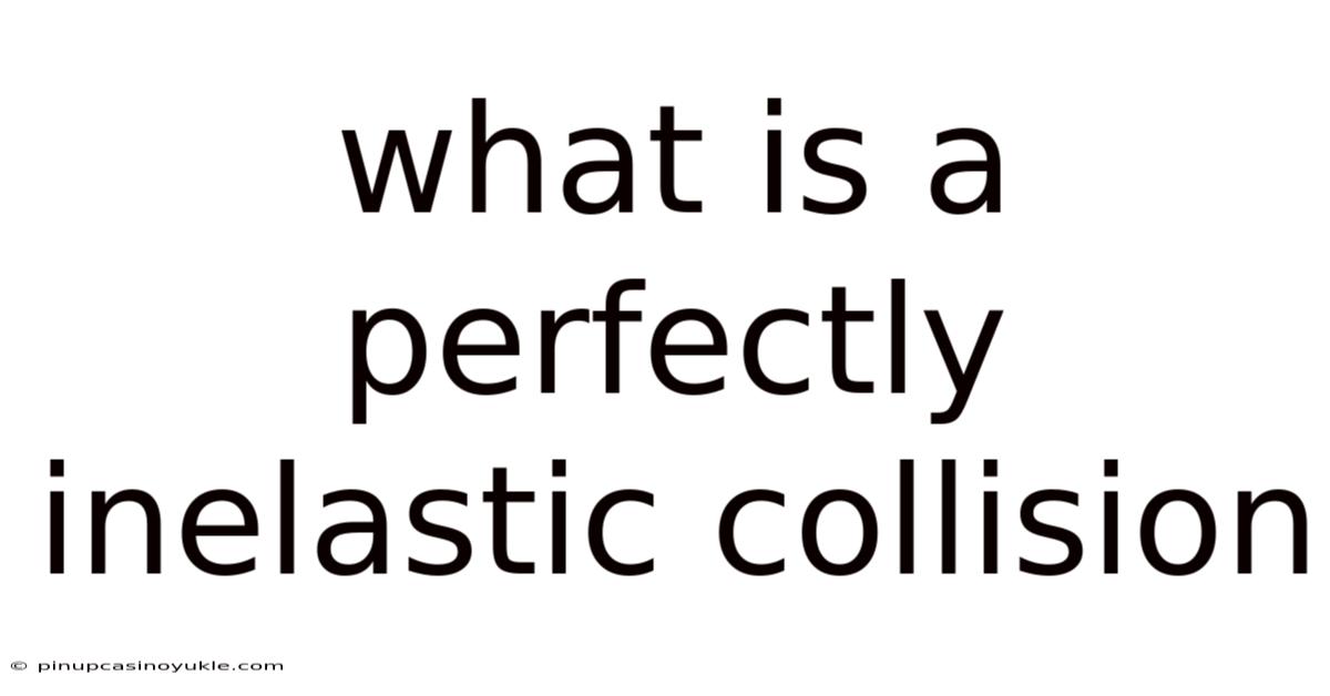 What Is A Perfectly Inelastic Collision
