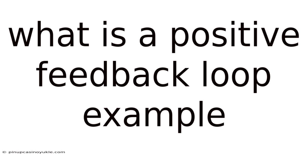 What Is A Positive Feedback Loop Example