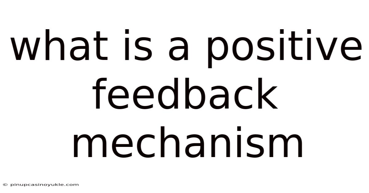What Is A Positive Feedback Mechanism