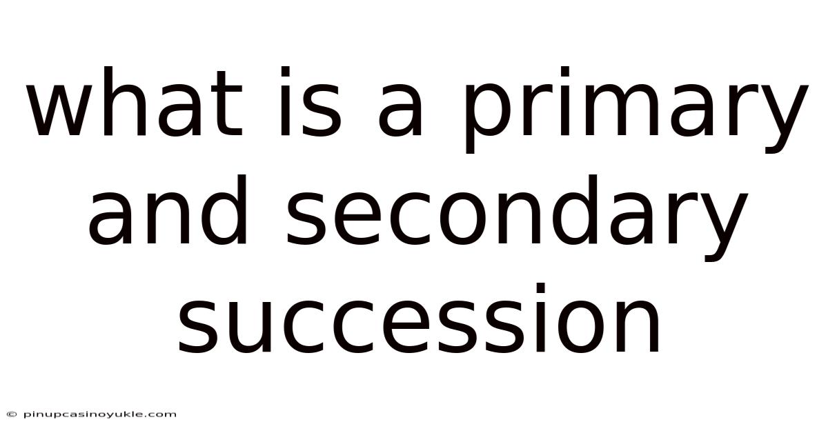 What Is A Primary And Secondary Succession