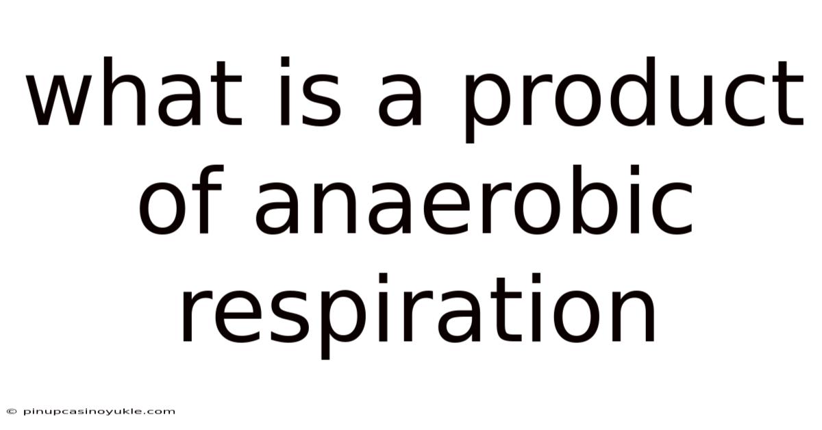 What Is A Product Of Anaerobic Respiration