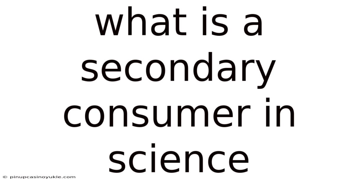 What Is A Secondary Consumer In Science