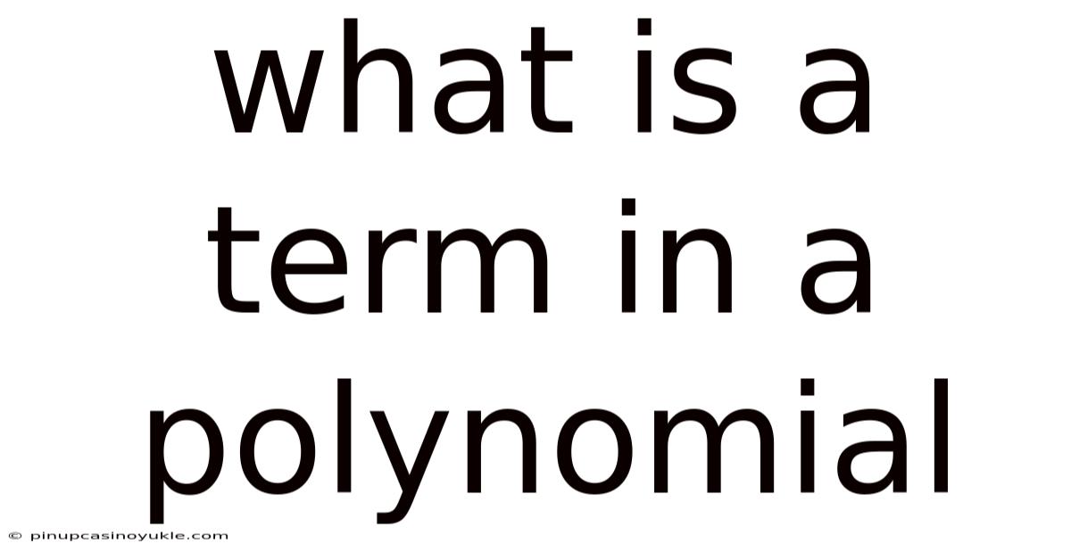 What Is A Term In A Polynomial