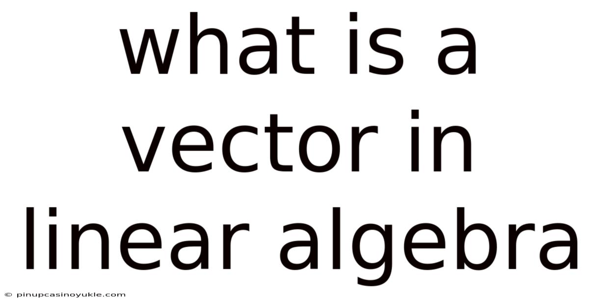 What Is A Vector In Linear Algebra