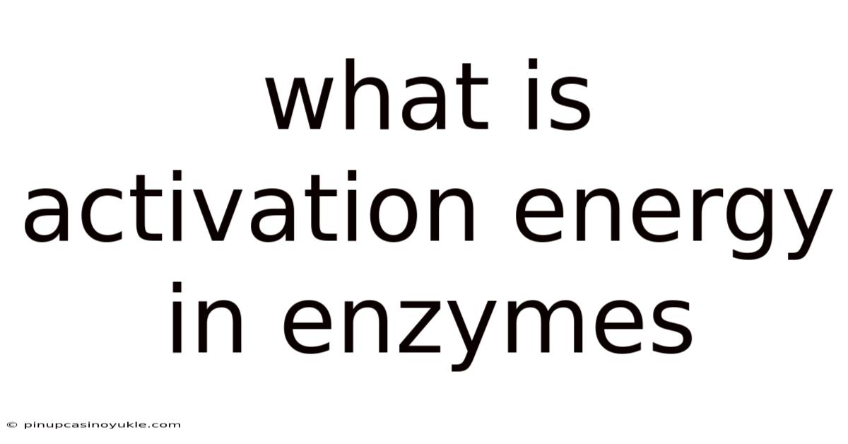 What Is Activation Energy In Enzymes