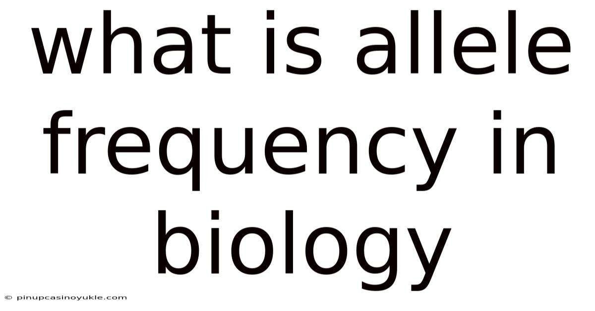 What Is Allele Frequency In Biology