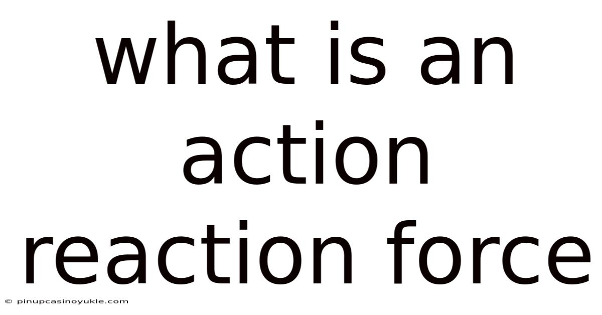 What Is An Action Reaction Force