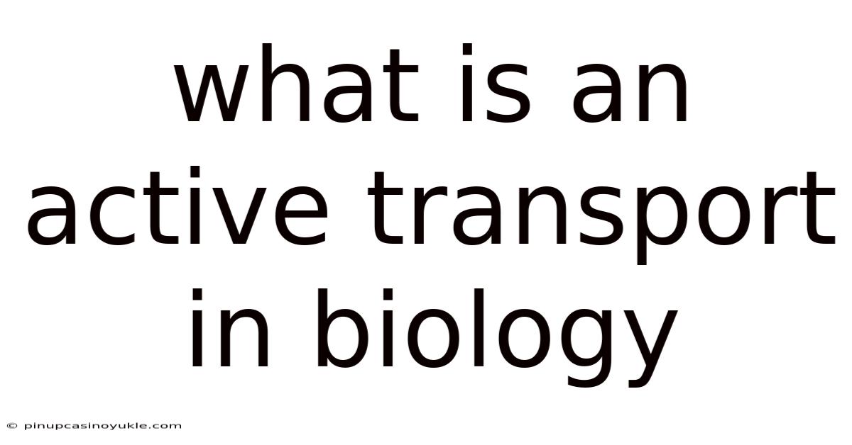 What Is An Active Transport In Biology