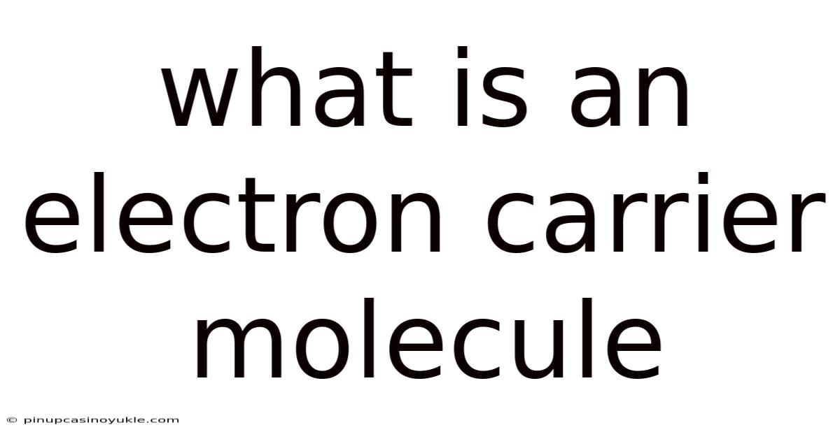 What Is An Electron Carrier Molecule