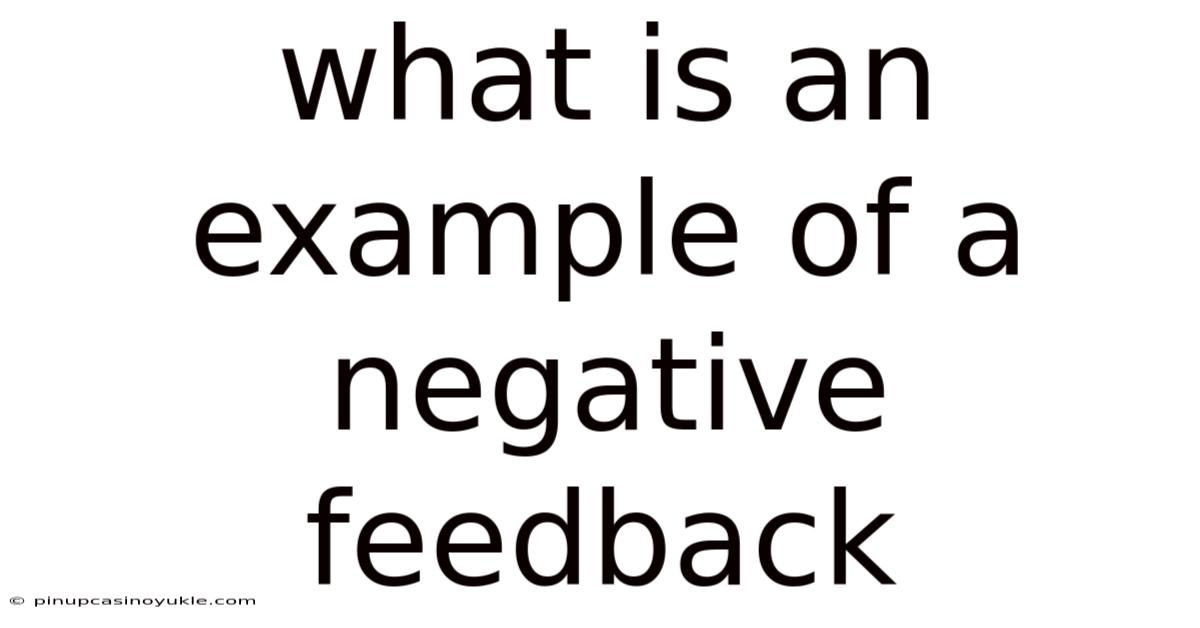 What Is An Example Of A Negative Feedback