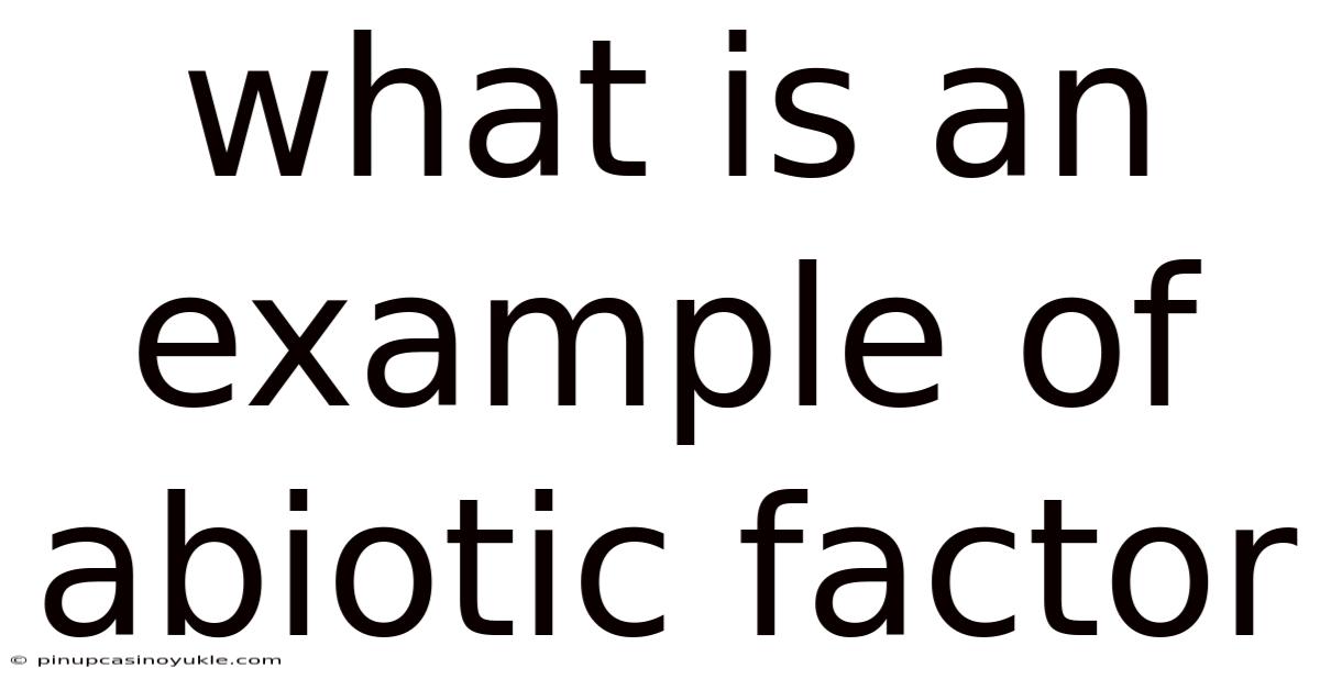 What Is An Example Of Abiotic Factor