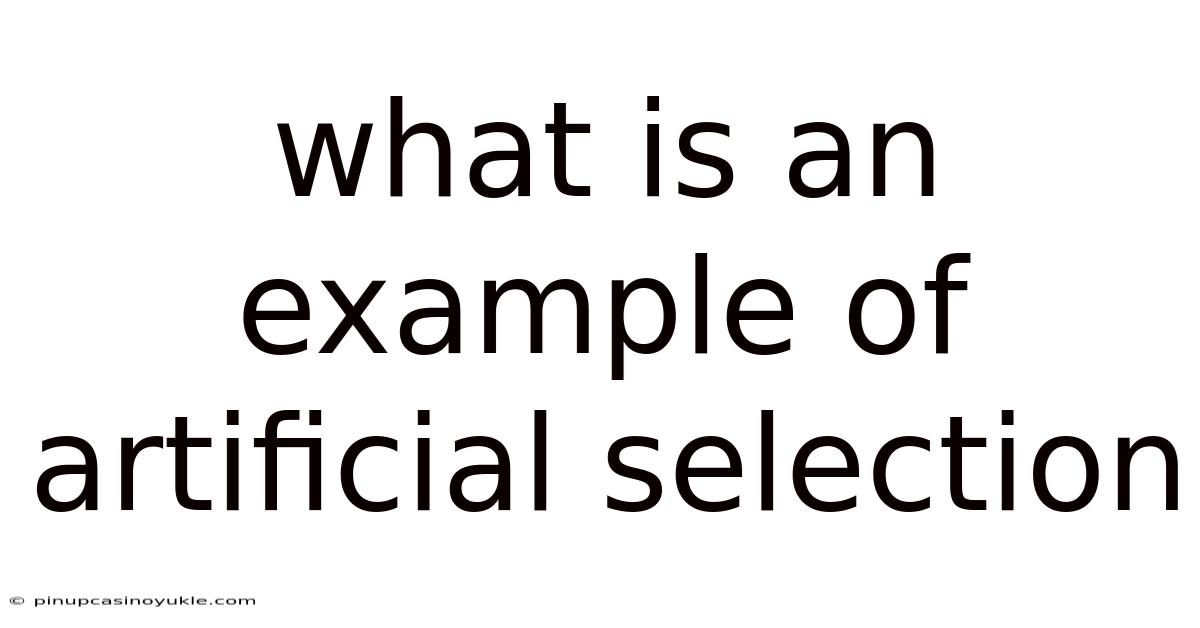 What Is An Example Of Artificial Selection
