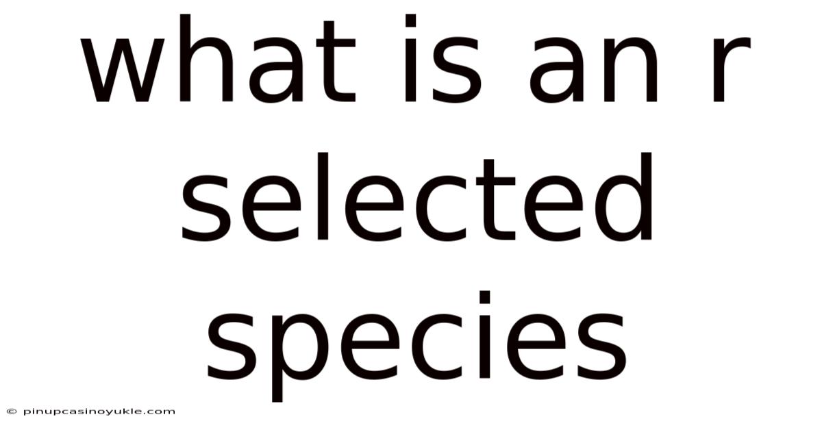 What Is An R Selected Species
