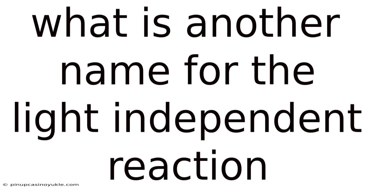 What Is Another Name For The Light Independent Reaction