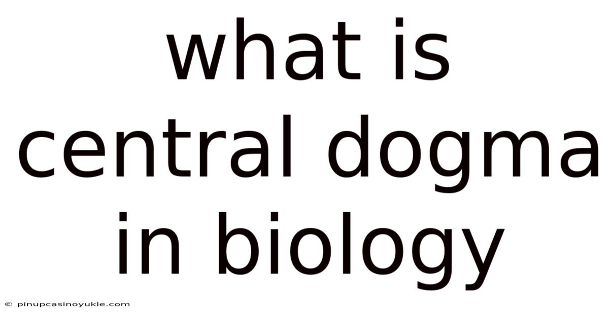 What Is Central Dogma In Biology
