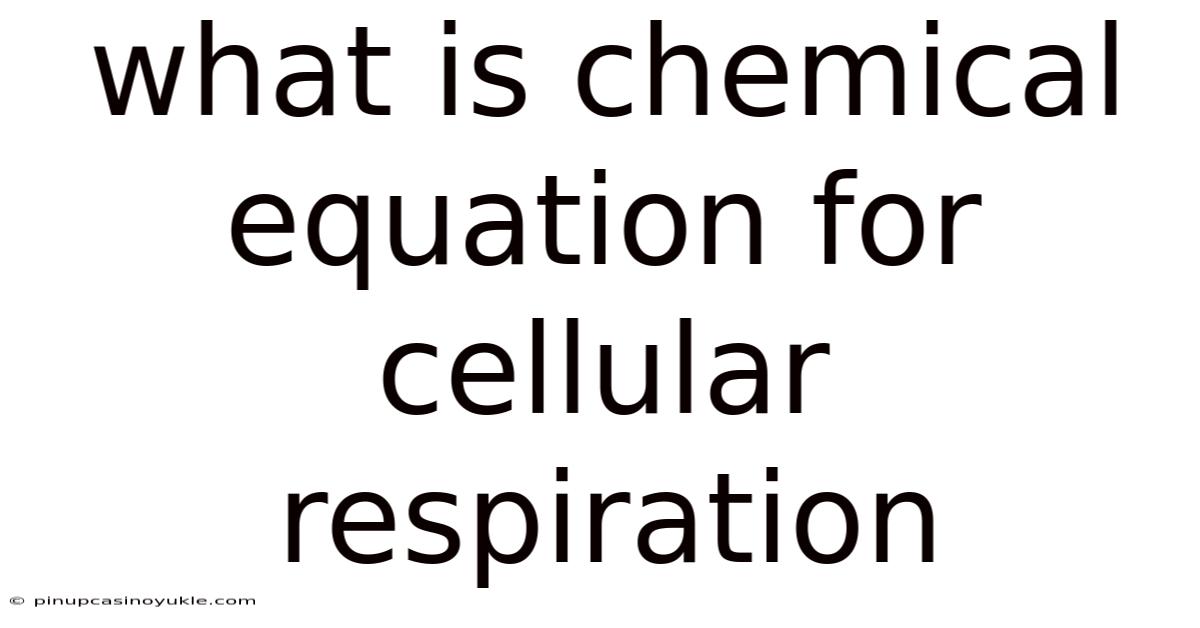 What Is Chemical Equation For Cellular Respiration
