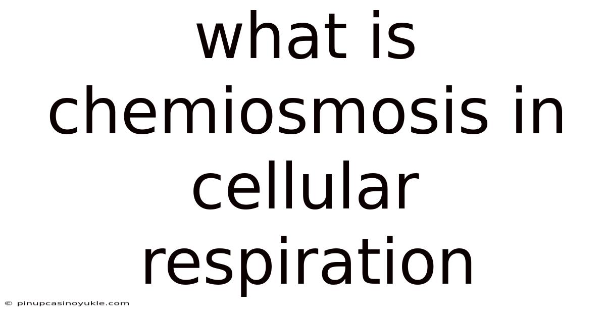 What Is Chemiosmosis In Cellular Respiration