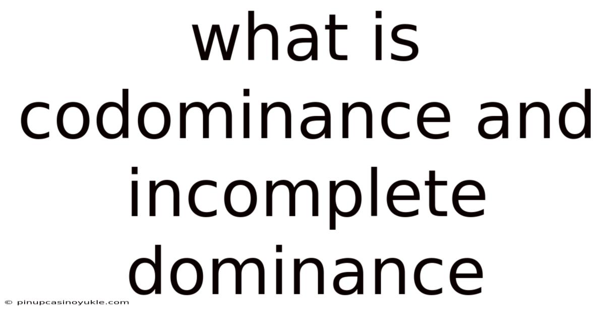 What Is Codominance And Incomplete Dominance