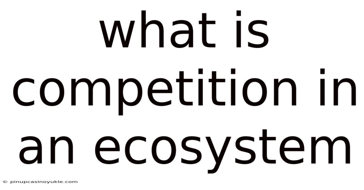 What Is Competition In An Ecosystem
