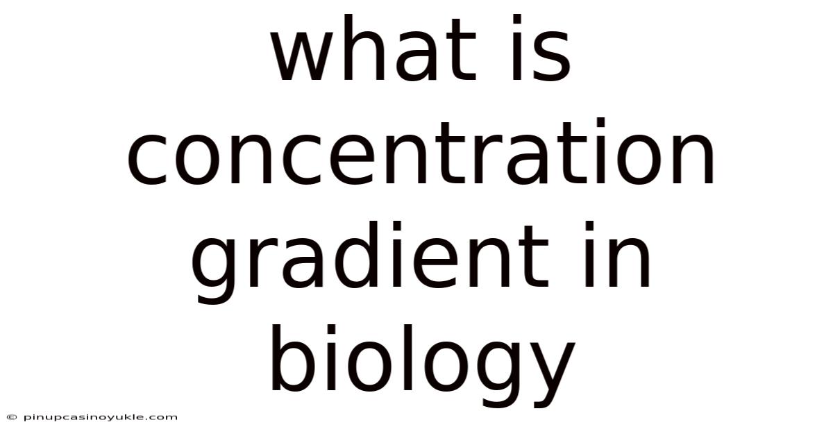 What Is Concentration Gradient In Biology