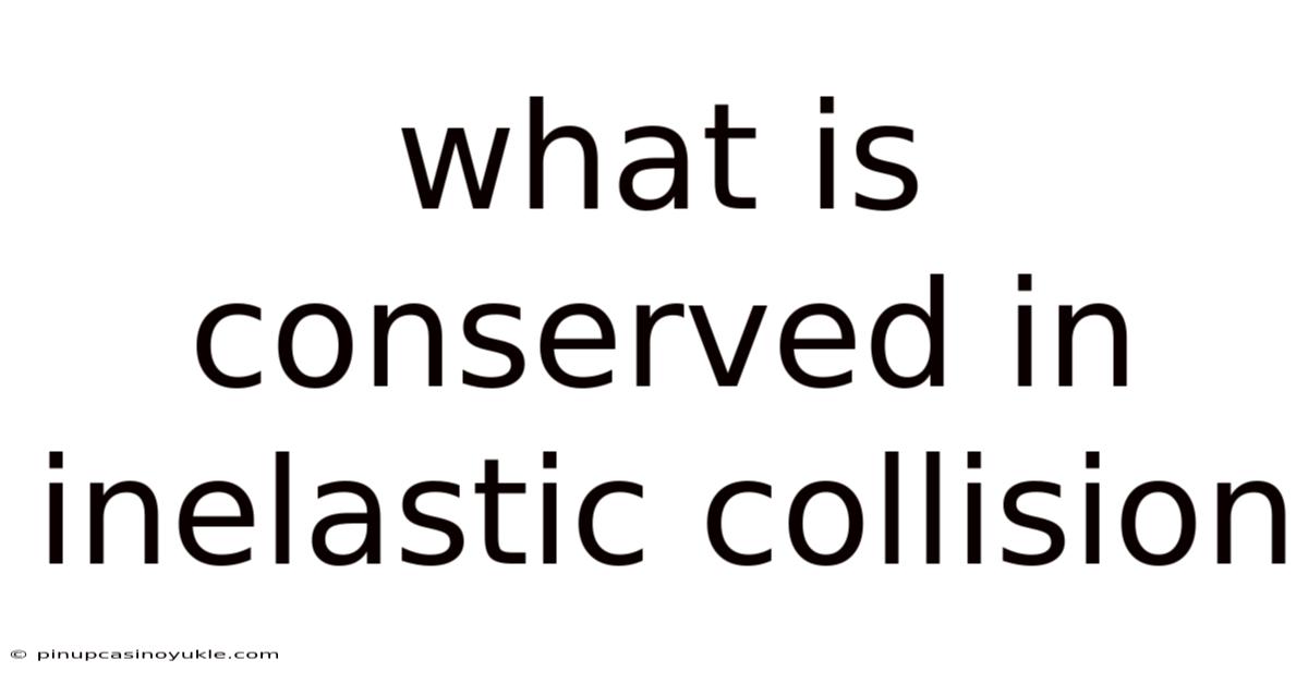 What Is Conserved In Inelastic Collision