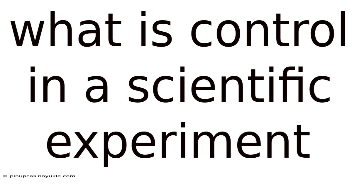What Is Control In A Scientific Experiment