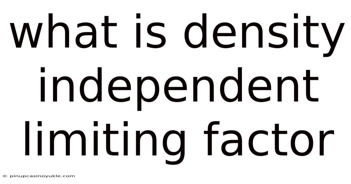 What Is Density Independent Limiting Factor