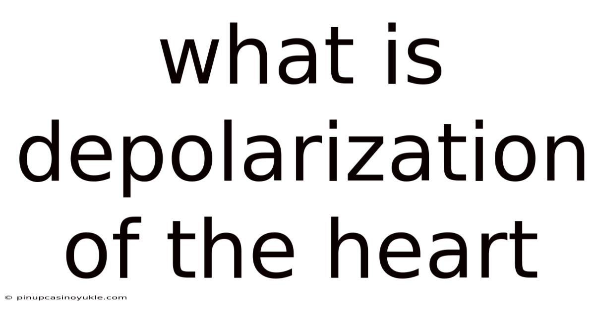 What Is Depolarization Of The Heart