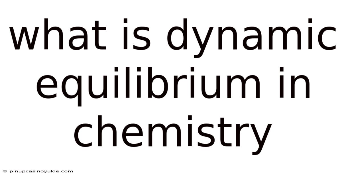What Is Dynamic Equilibrium In Chemistry