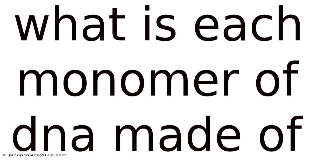 What Is Each Monomer Of Dna Made Of