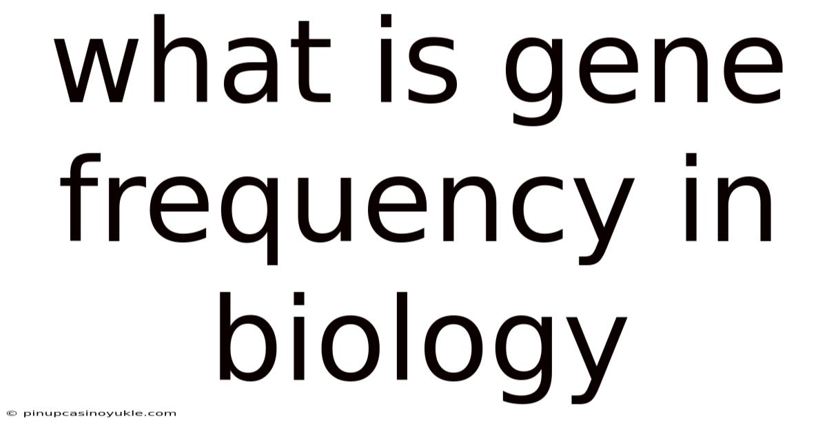What Is Gene Frequency In Biology