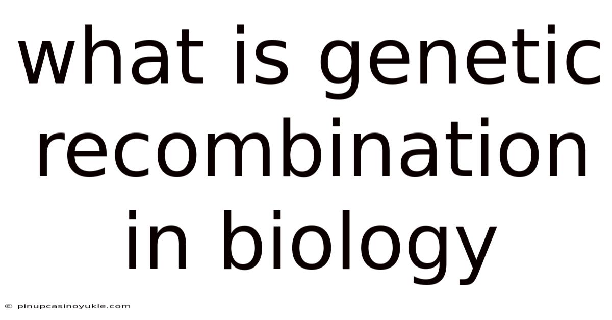 What Is Genetic Recombination In Biology